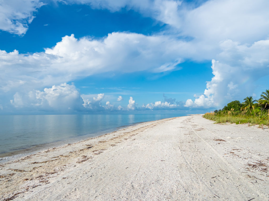 ocean science diplomacy: gulf of mexico