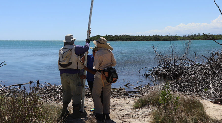 Scientists on beach taking measurements