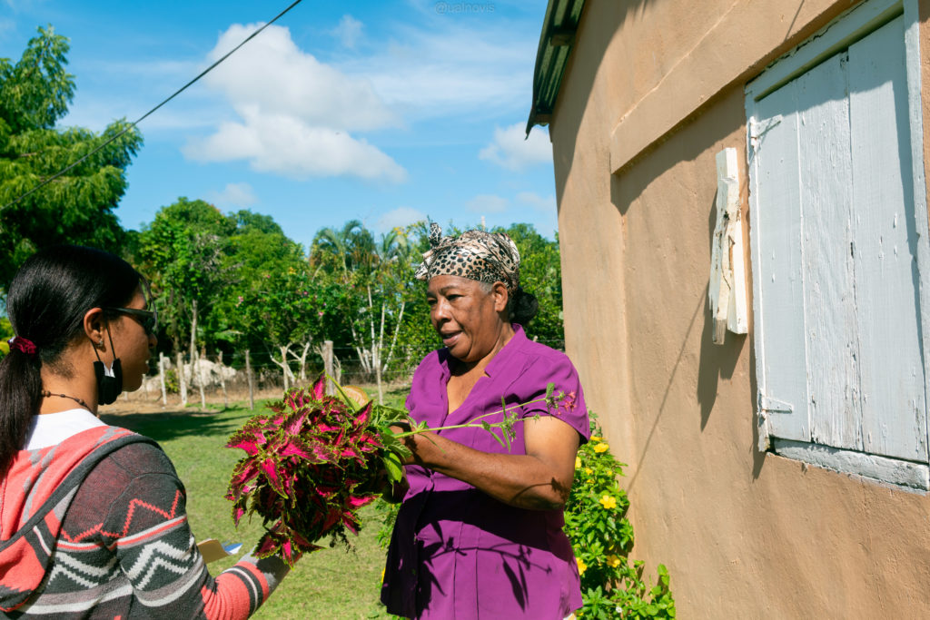 Regenerative Agriculture and Agroforestry Image