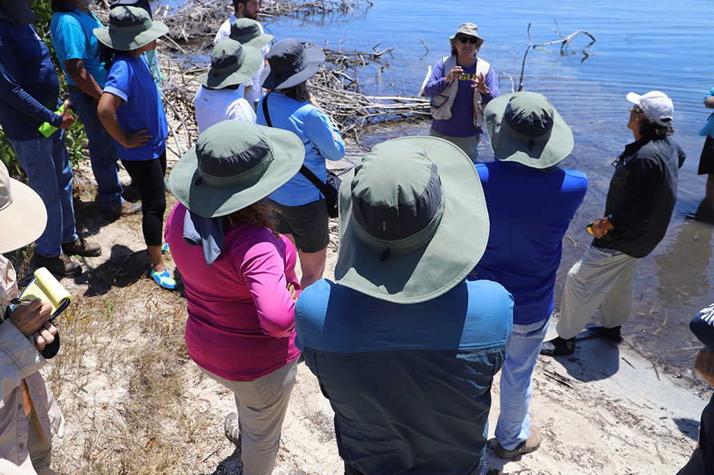 scientists in hats standing on beach