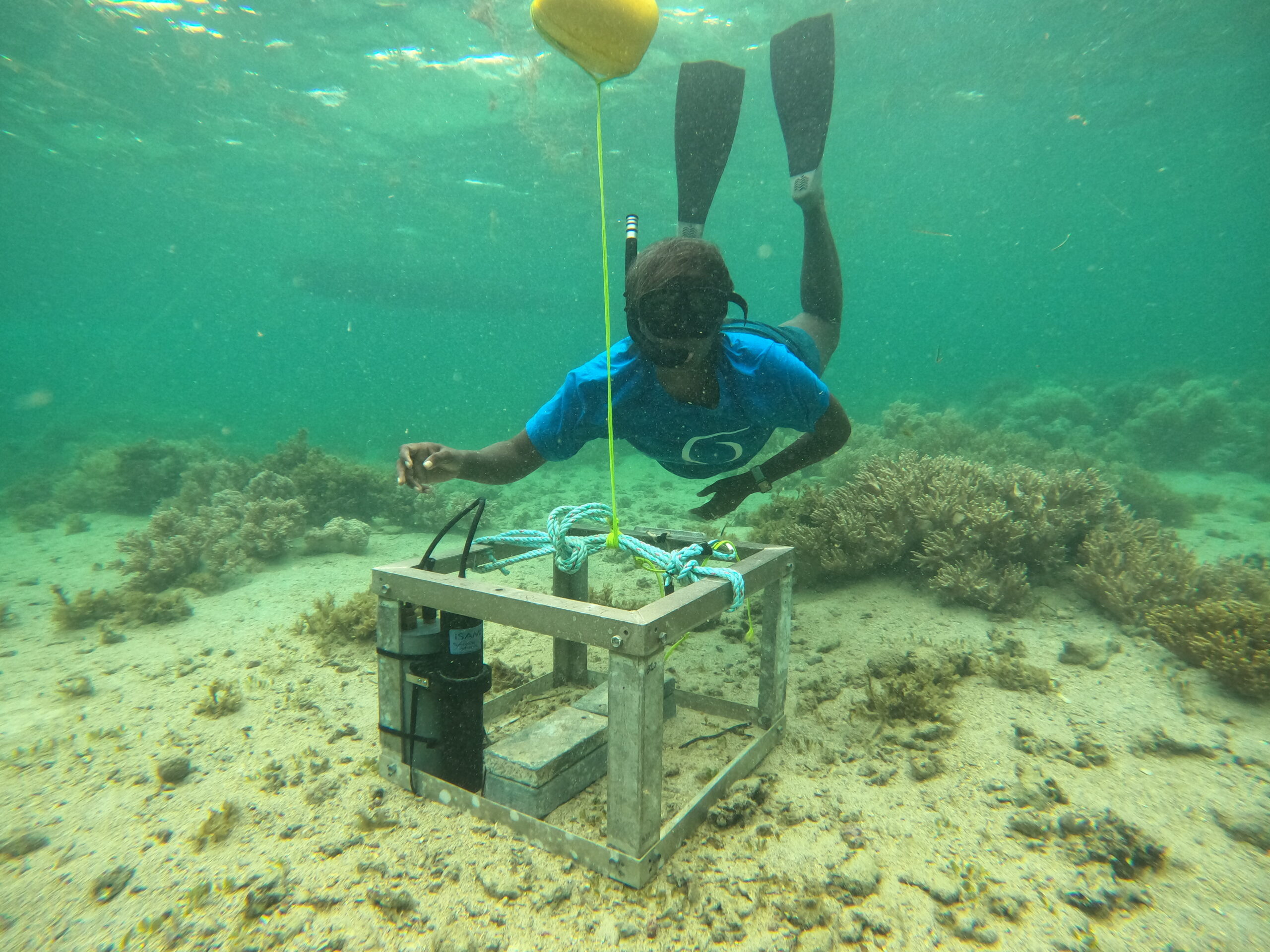 Photo Credit: Poate Degei. Diving underwater in Fiji