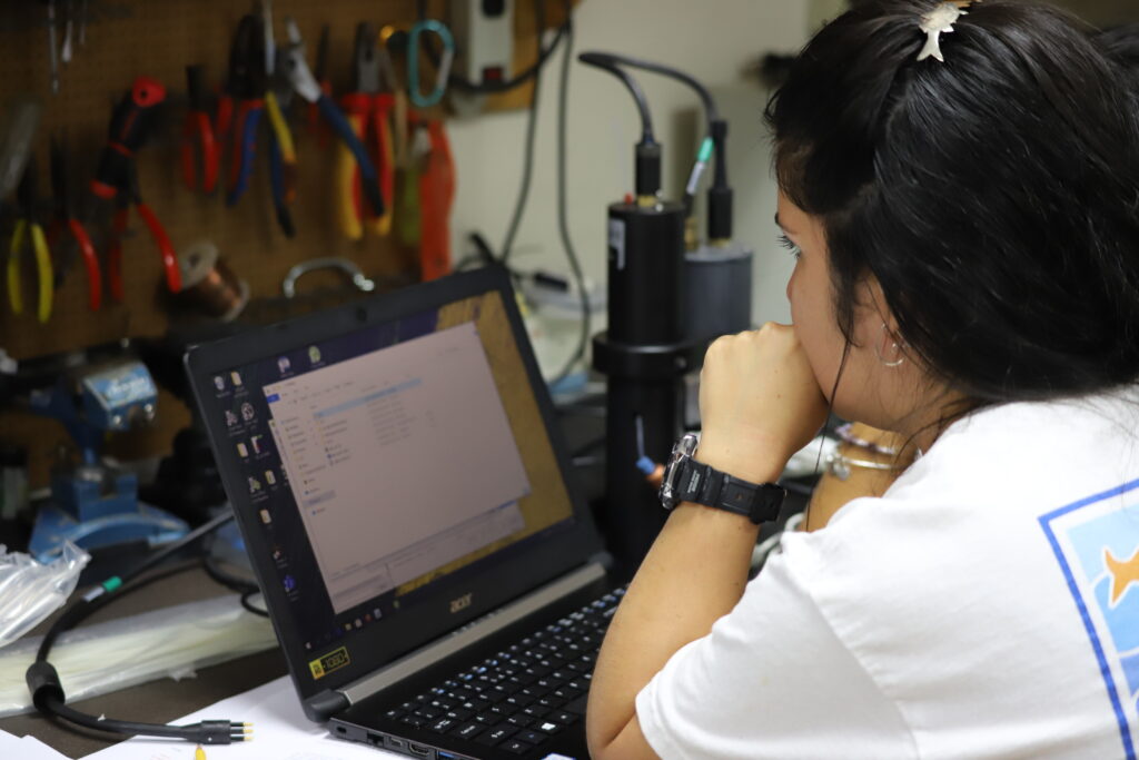 A woman using her computer for GOA-ON in a Box trainings