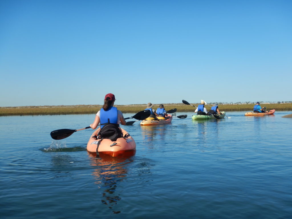 Kayaking on the water