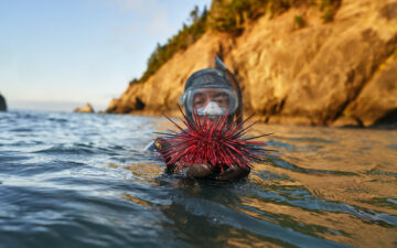 Scuba diver with sea life