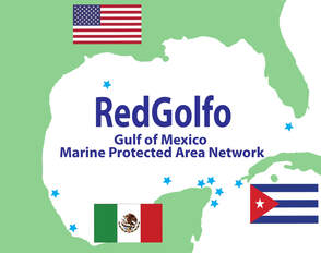 RedGolfo logo