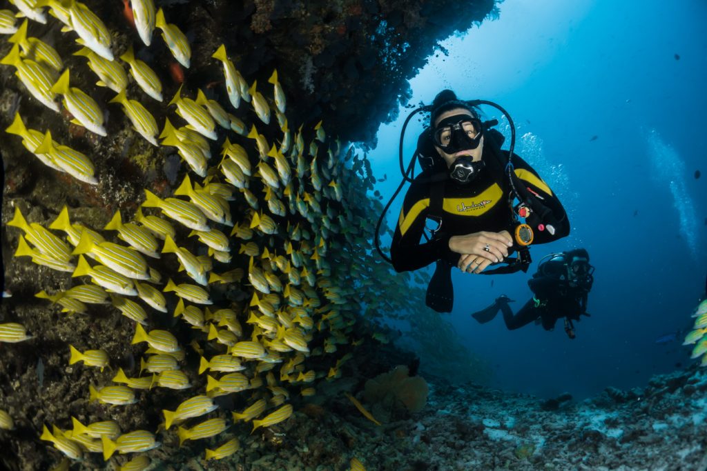 Scuba diver underwater