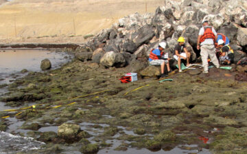 Workers Measuring Beach