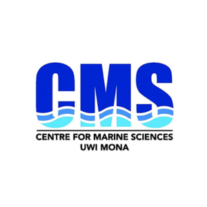 CMS Logo