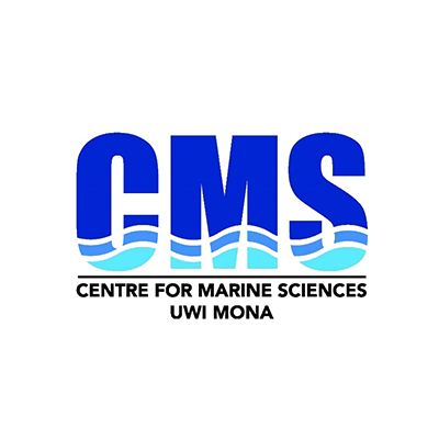 CMS logo